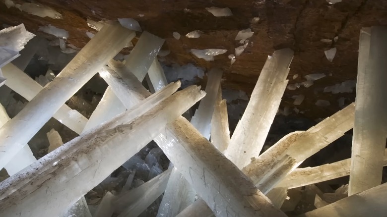 Giant crystals growing out of the cave walls at the Cave of Crystals, Mexico