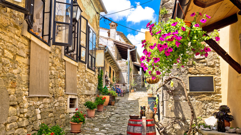 A picturesque stone street with bright flowers in Hum, Croatia