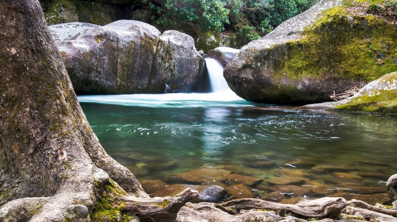 Stream, pool, and boulders at Midnight Hole