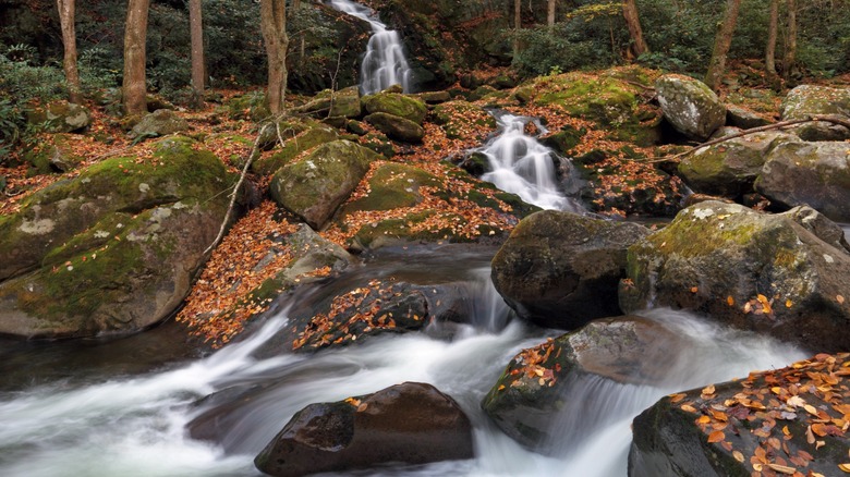 Streams and mossy rocks at Mouse Creek Falls