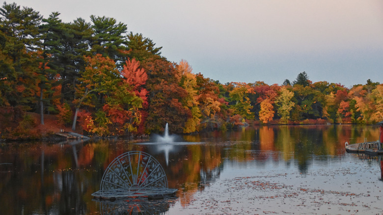 Lake in Roger Williams Park in Rhode Island
