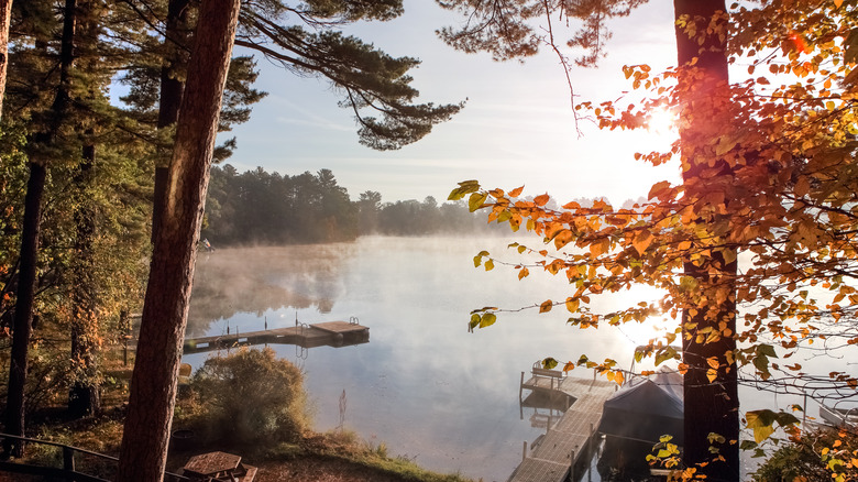 A peaceful summer lake vista in Vilas County, Wisconsin