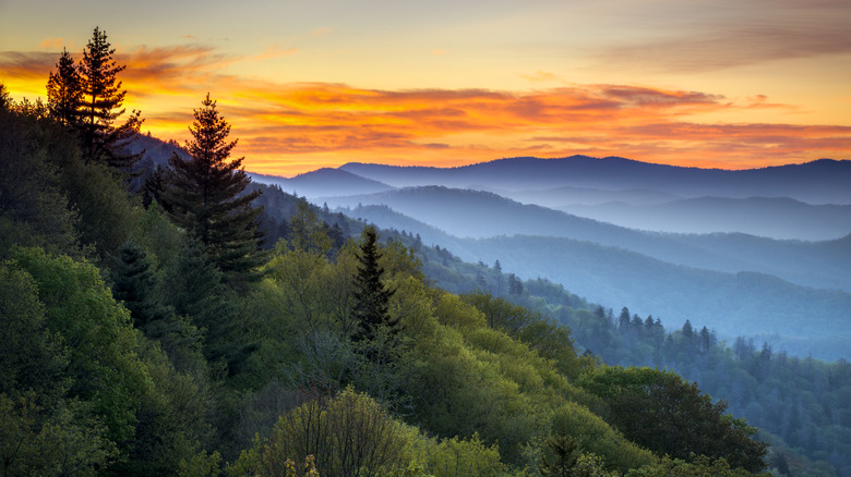Great Smoky Mountains National Park