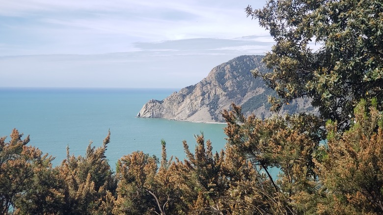 View of the sea from the Sentiero Azzurro in Italy