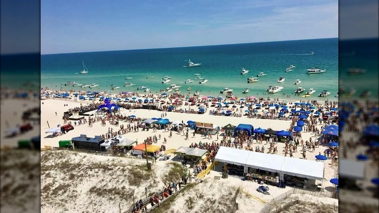 The Mullet Toss at Flora-Bama Lounge and Package