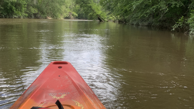 Kayaking in Louisiana