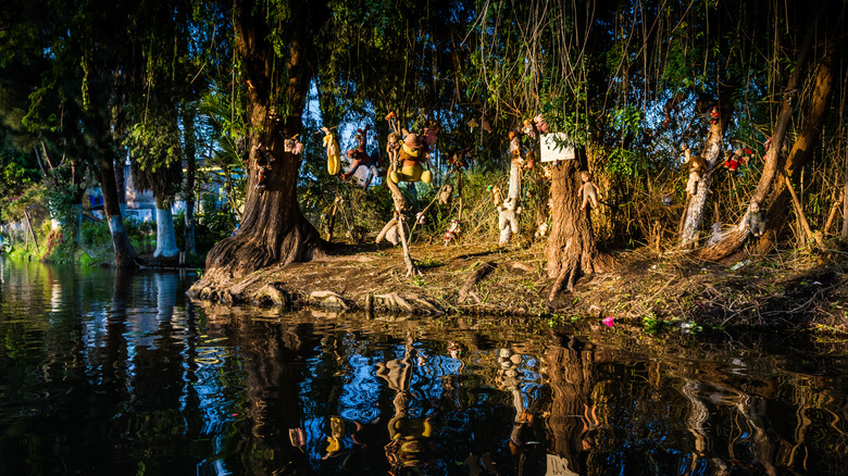 Shot of the Isla de las munecas, or Island of Dolls, taken from a boat with scenes of decaying dolls hanging from trees
