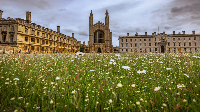 Flowers at King's College, Cambridge