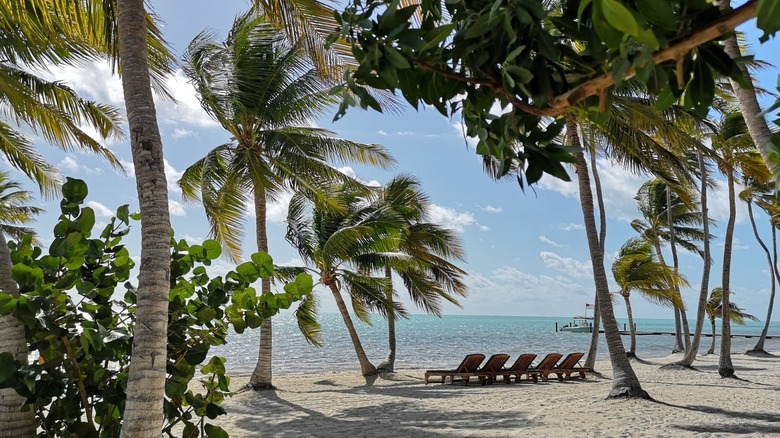 Gorgeous beach resort in Islamorada, Florida Keys