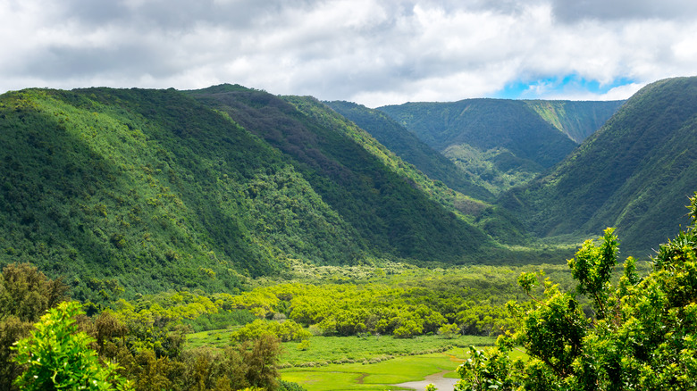 Polulu Valley on the Big Island, Hawaii