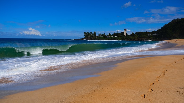Beautiful day on Waimea Bay, Oahu, Hawaii