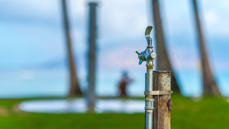 A water fountain stands against a background of palm trees