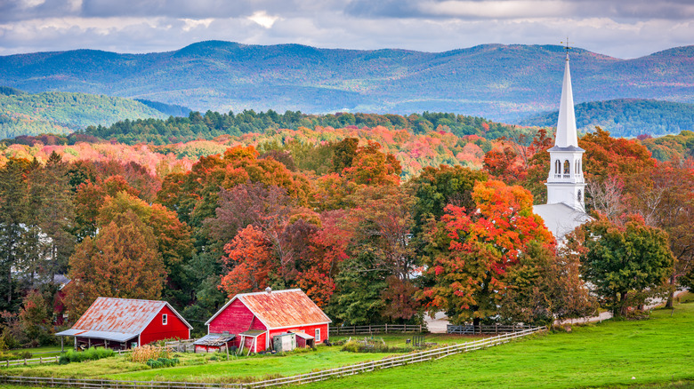 A rural scene from Peacham, Vermont