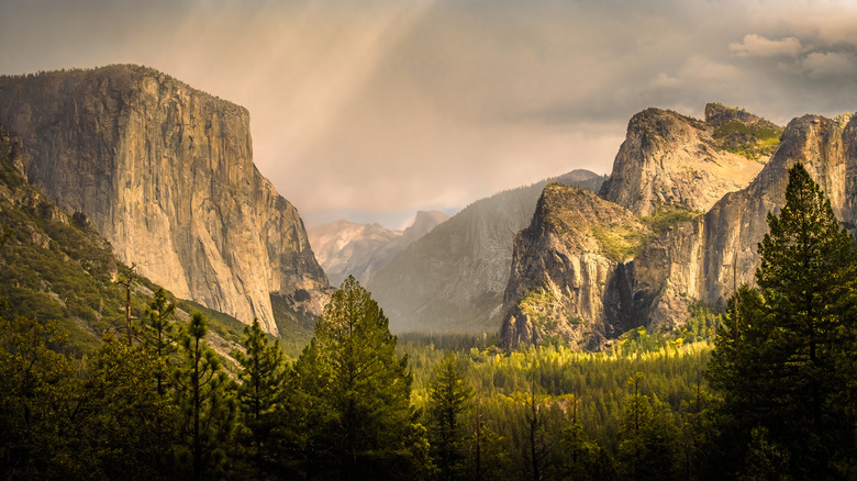 Forests and granite peaks in the iconic Yosemite Valley of California