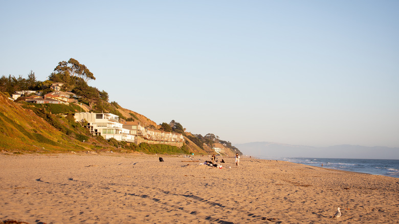 Manresa State Beach in Watsonville, CA