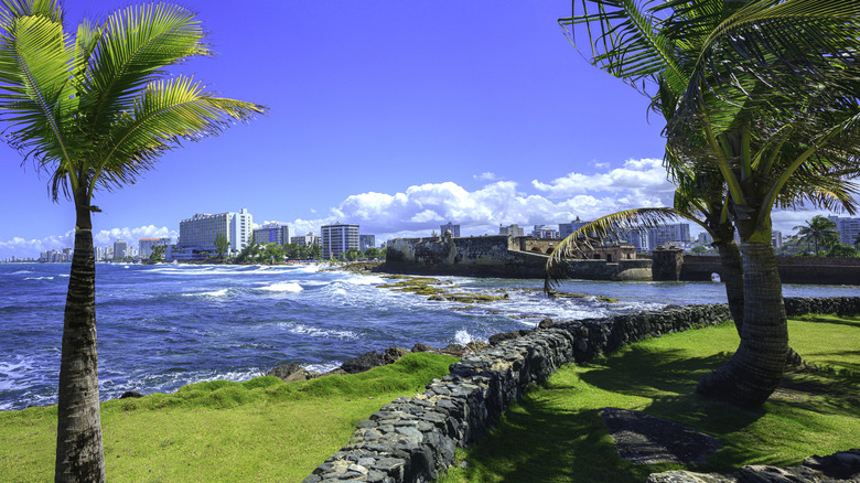 Palm trees and surf at Condado Beach, Puerto Rico