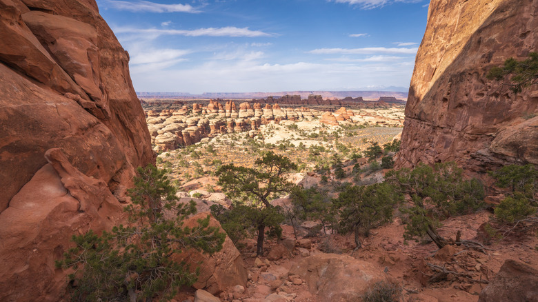 The Chesler Park Loop Trail in Canyonlands National Park, Utah, USA