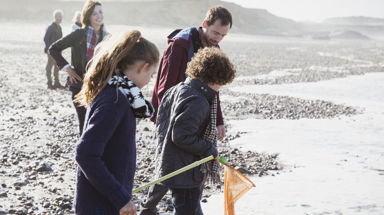 Family digging for clams on a rocky beach in Washington