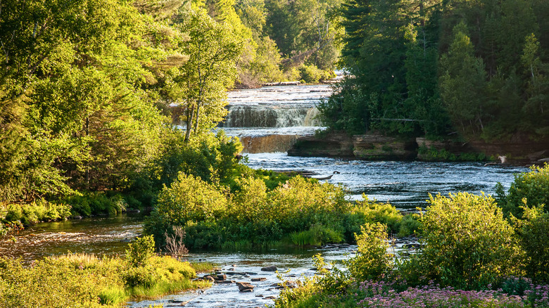 A scenic river in Michigan