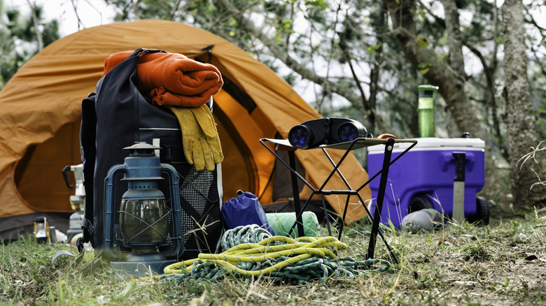 A cooler, backpack, and other wilderness camping gear at a forested campsite.