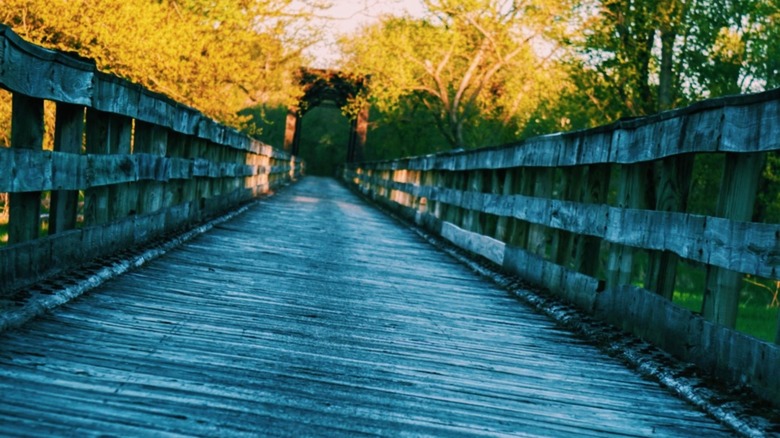 A small wooden bridge leading into a tunnel in the shade