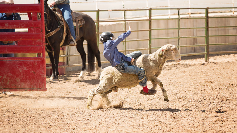 A little boy holding onto a sheep at the National Western Stock Show & Rodeo in Denver