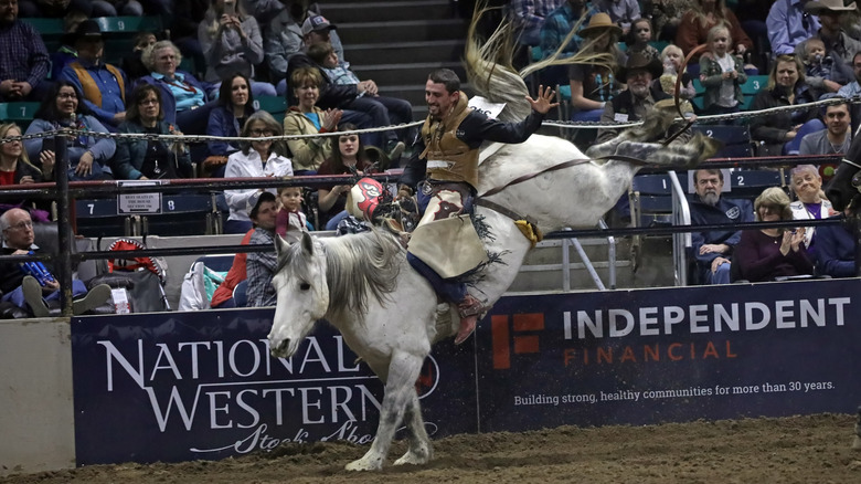 A rodeo horse trying to buck off a rider at the National Western Stock Show & Rodeo in Denver