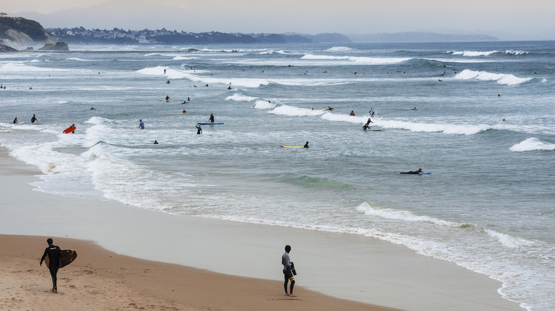Surfers entering the water in Biarritz, France