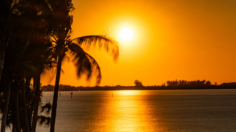 Orange sunset over water, with land in the distance and palms in the foreground
