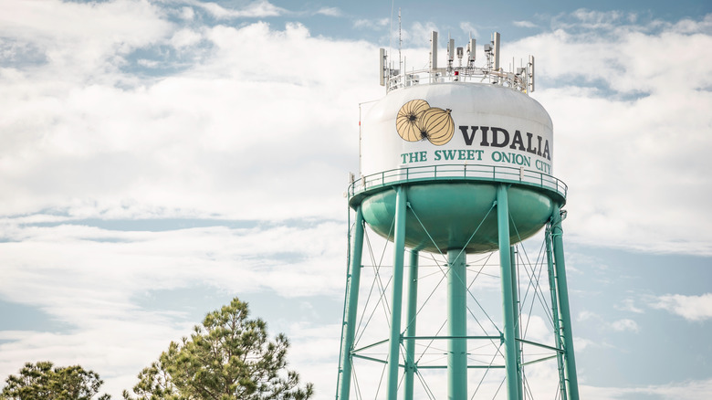A white and green water tower with Vidalia The Sweet Onion City, in Vidalia, Georgia.