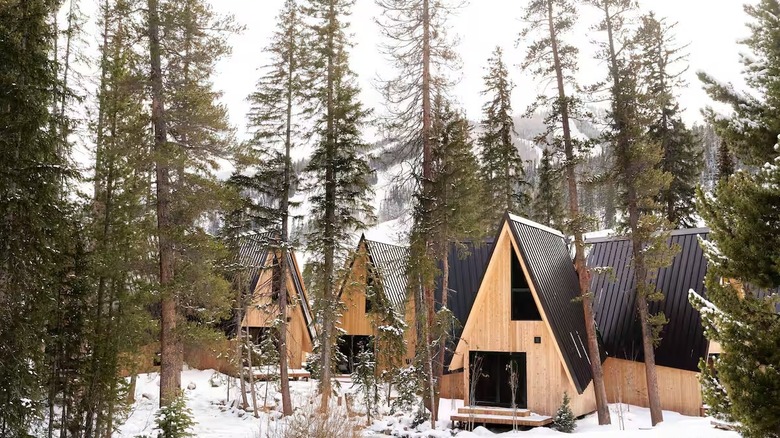 Different A-frame cabins clustered together in the snow, surrounded by trees