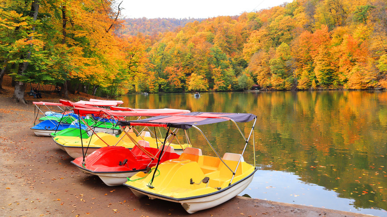 Colorful boats at Lake Parz during autumn, Dilijan, Armenia
