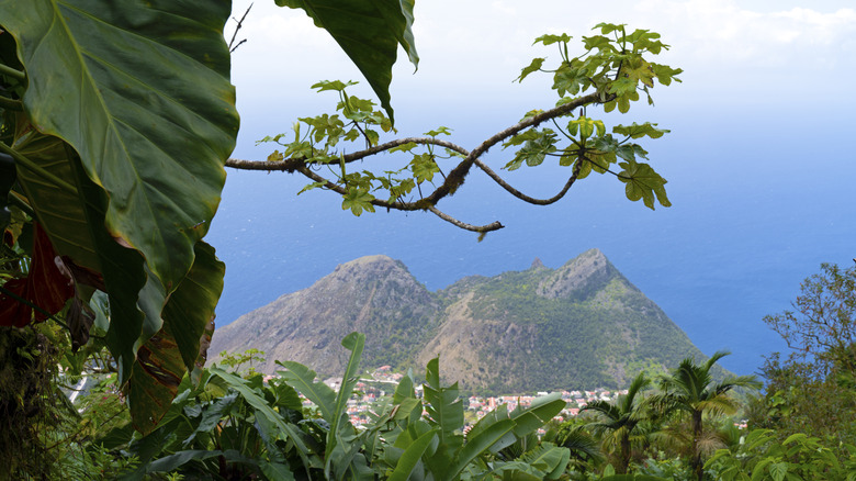 Vegetated hills and open Caribbean sea are visible from the top of Mt. Scenery on the island of Saba