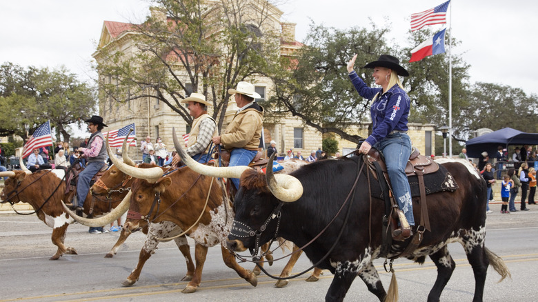 Cowgirls & Cowboys riding Longhorn bulls in Veterans Day Parade in Bandera, Texas