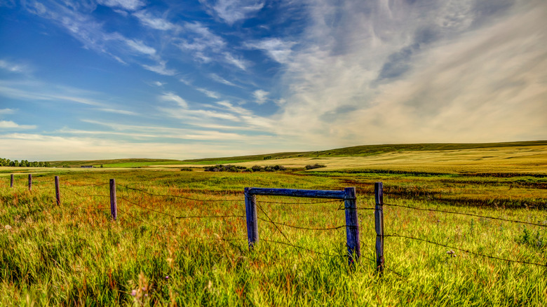 Prairies and blue skies in Alberta, Canada