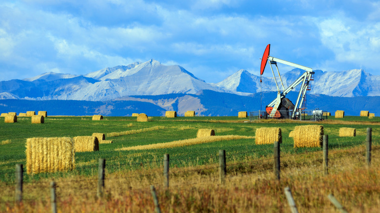 An oil rig surrounded by hay and mountains in Alberta﻿, Canada