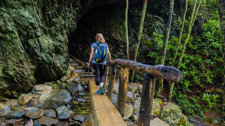 Hiker on the Alum Cave Trail Mount LeConte