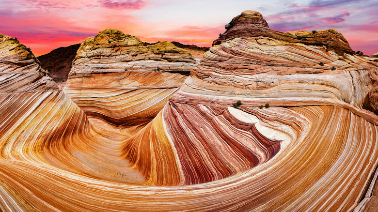 the wave sunset