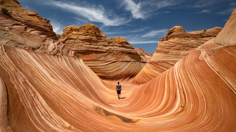 lone hiker walks through the wave