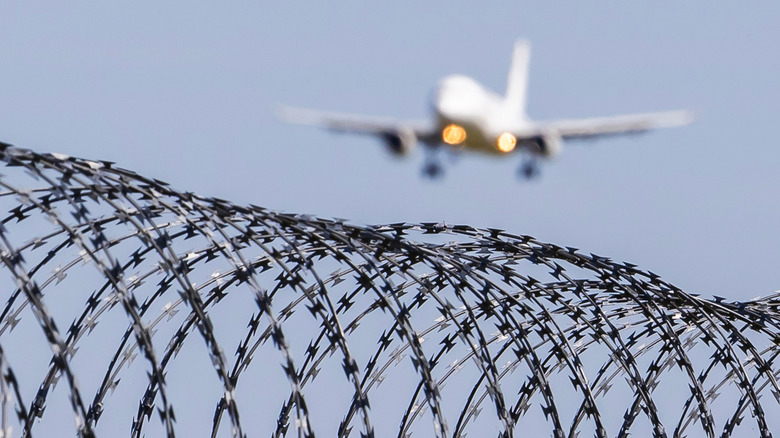 Close up of barbed wire with a plane in the background