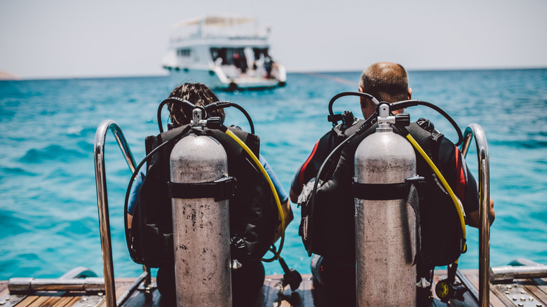 Divers with their scuba gear