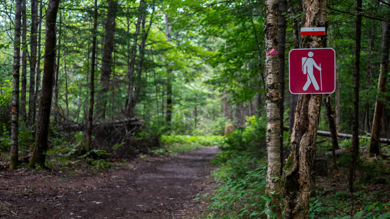 Hiking sign on tree in forest
