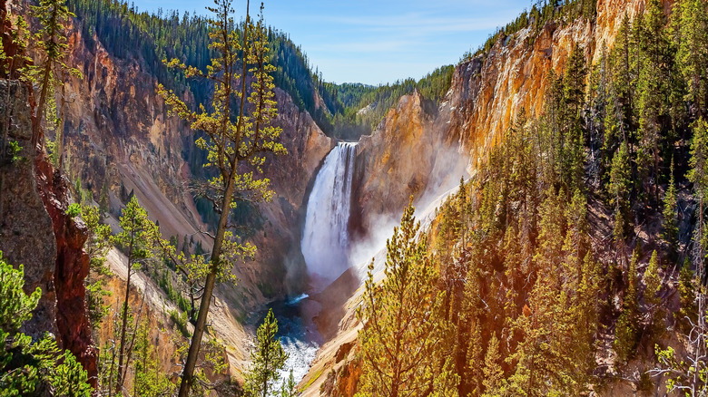 Waterfall in Yellowstone National Park