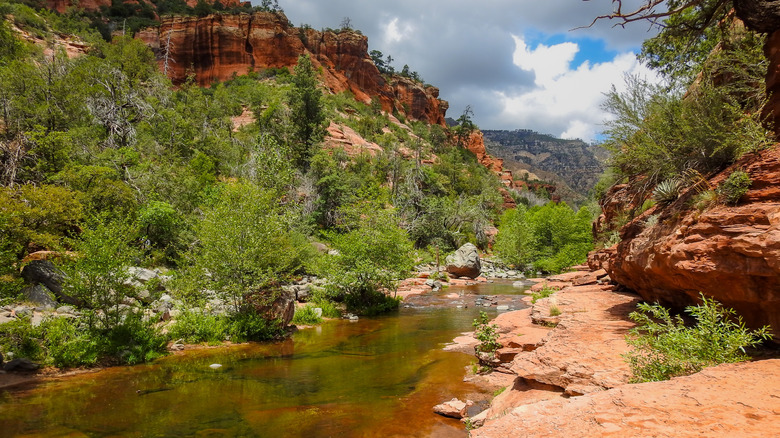 Creek and red rock scenery in Slide Rock State Park