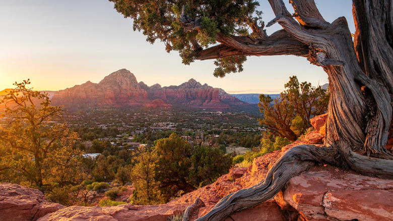 Sunset view of red rocks from Airport Mesa