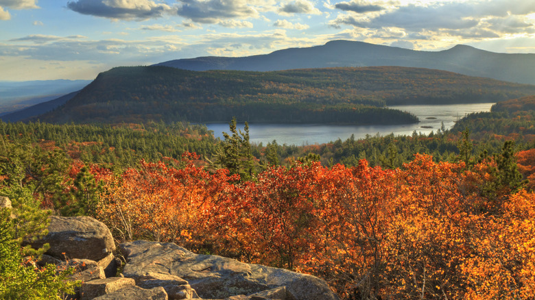 Aerial view of the Castkills in autumn overlooking a river