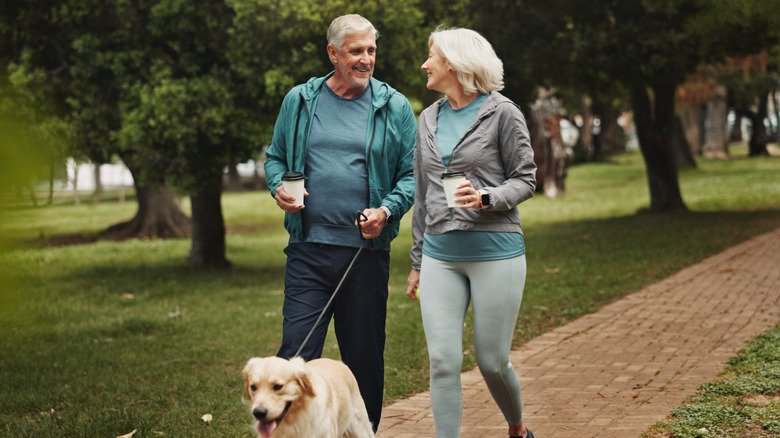 Senior couple walking dog in park