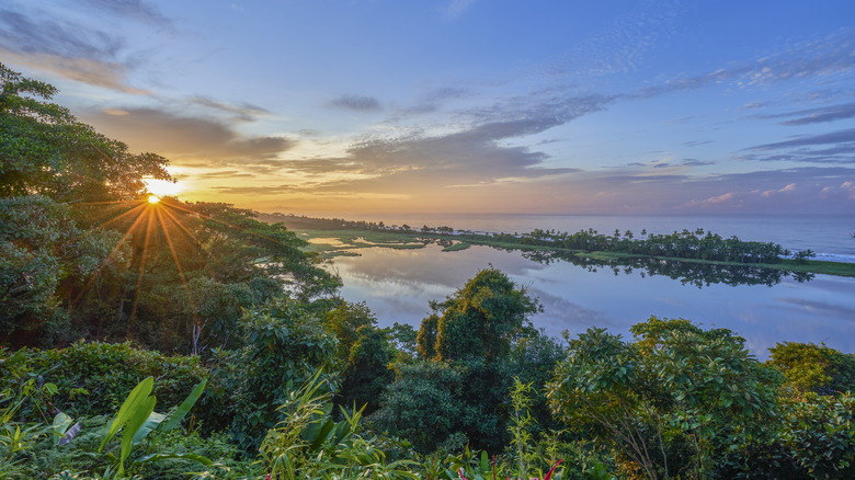 Sunset over the ocean and jungle on the Osa Peninsula in Costa Rica