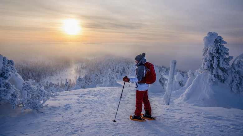 A person snowshoeing, surrounded by snow-covered trees
