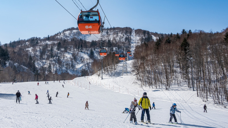 beginner skiing area